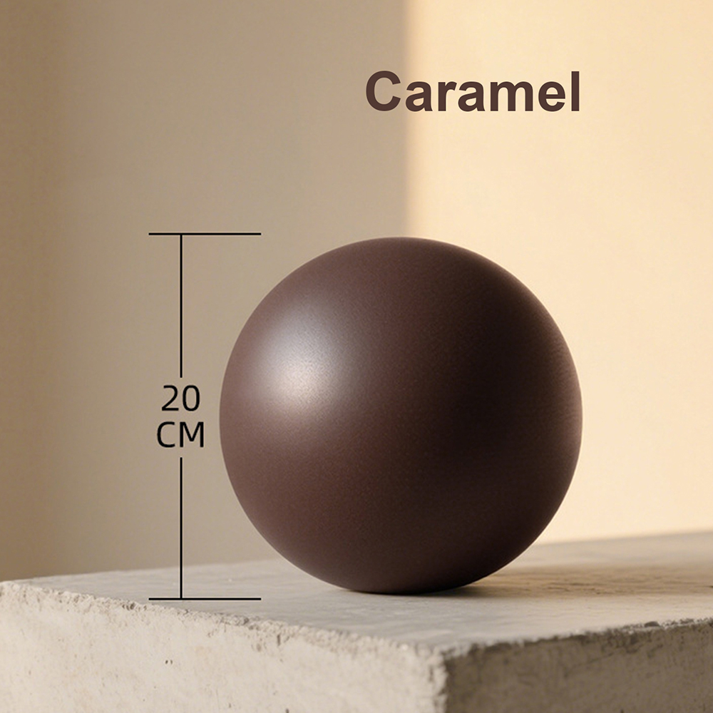 20 cm matte oefenbal Barre str - Pilates Yoga Ball Exercises recensie en prijs
