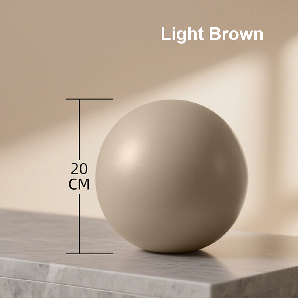 20 cm matte oefenbal Barre str - Pilates Yoga Ball Exercises recensie en prijs