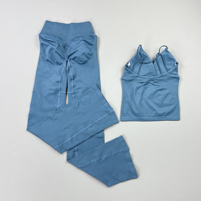 2-delig dames naadloze yogaset - Pilates Yoga Kit recensie en prijs