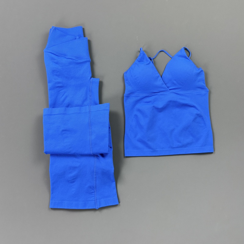 2-delig dames naadloze yogaset - Pilates Yoga Kit recensie en prijs